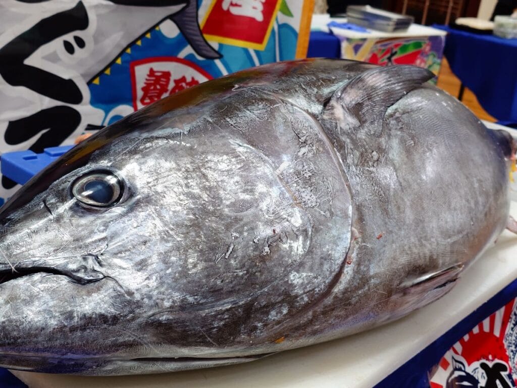 レモンケータリングのマグロの解体ショープラン
