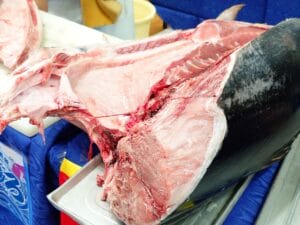 レモンケータリングの本マグロ解体ショー